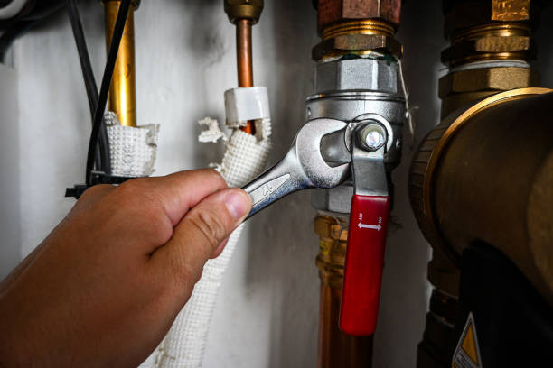 Best Plumbing Services Near Me  in Waimanalo, HI